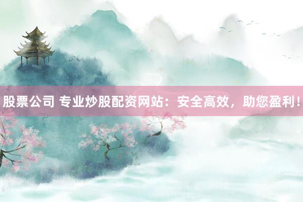 股票公司 专业炒股配资网站：安全高效，助您盈利！
