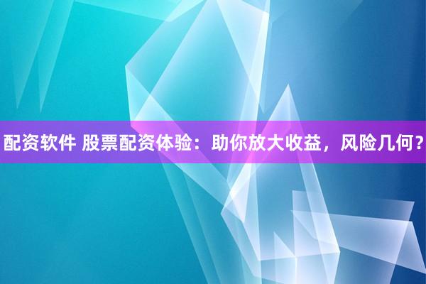 配资软件 股票配资体验：助你放大收益，风险几何？