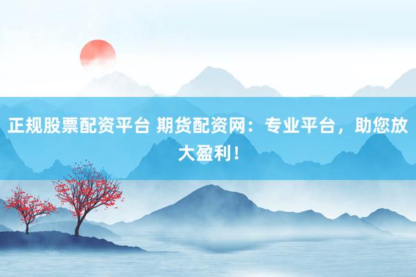 正规股票配资平台 期货配资网：专业平台，助您放大盈利！