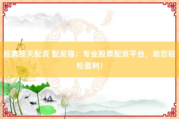 股票按天配资 配资猫：专业股票配资平台，助您轻松盈利！