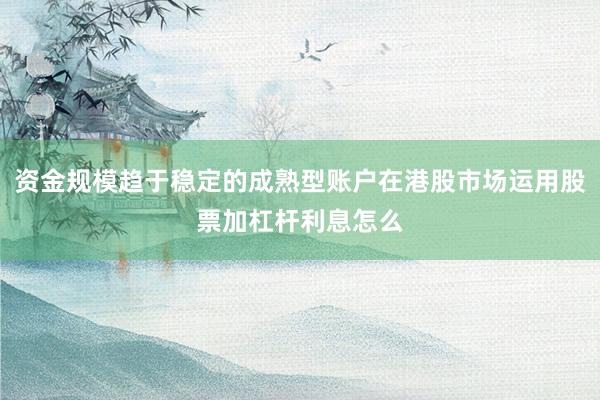 资金规模趋于稳定的成熟型账户在港股市场运用股票加杠杆利息怎么