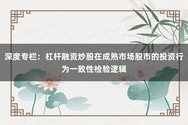 深度专栏：杠杆融资炒股在成熟市场股市的投资行为一致性检验逻辑
