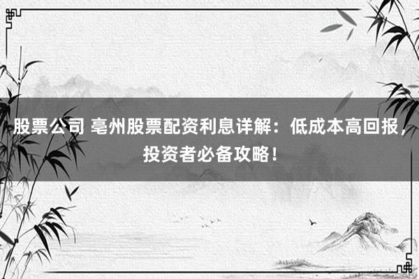 股票公司 亳州股票配资利息详解：低成本高回报，投资者必备攻略！