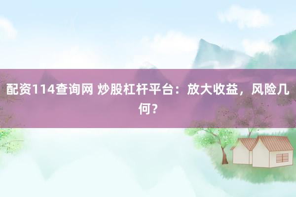 配资114查询网 炒股杠杆平台：放大收益，风险几何？