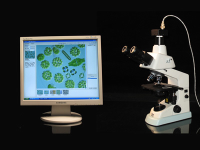 迅数科技:藻类计数仪,藻类计数器,藻类智能鉴定计数仪-迅数Algacount S20藻类智能鉴定计数仪