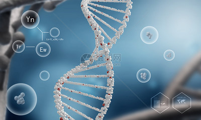 DNA分子高科技DNA分子的生物化学背景